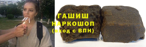 индика Сатка