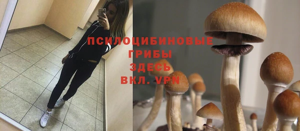 амф Алексин